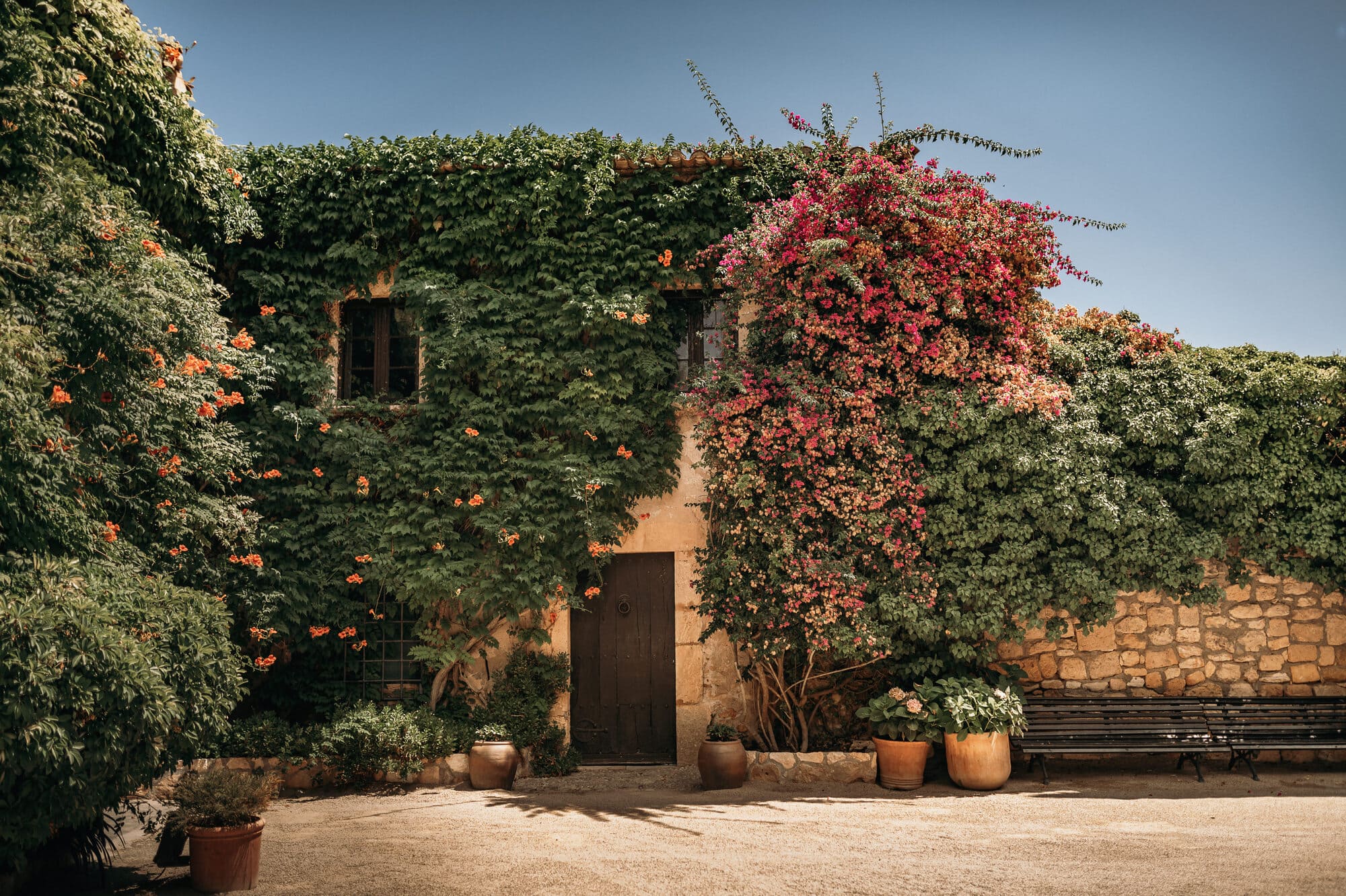 The castle courtyard in bloom with bougainvillea